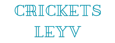 cricketsleyv.com